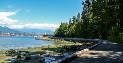 Seawalls Are Effective and Have Great Longevity